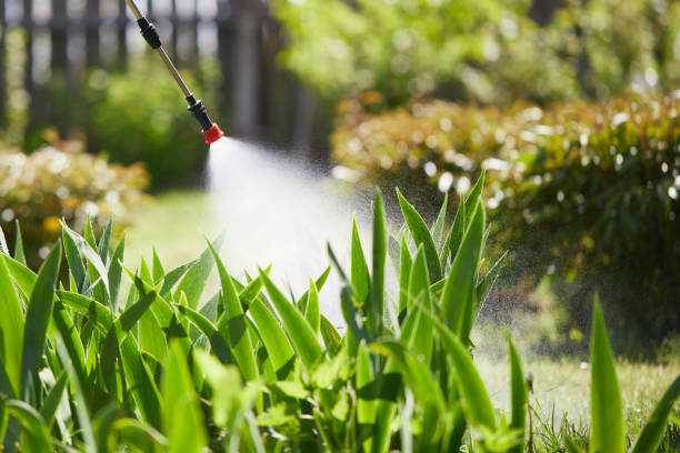24/7 Emergency Mosquito Control experts in Roebuck, SC