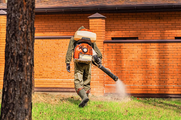 Top rated local Mosquito Control specialists in Roebuck, SC